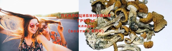молекула духа Осинники