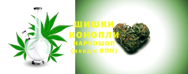 молекула духа Осинники