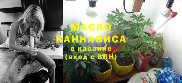 молекула духа Осинники