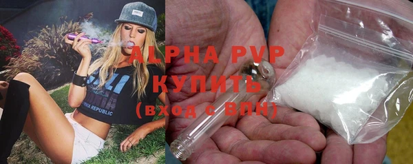 молекула духа Осинники