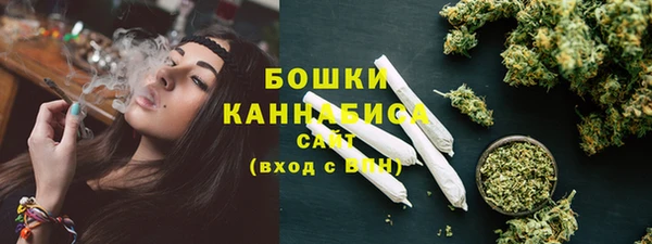 молекула духа Осинники