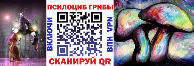 Псилоцибиновые грибы мицелий  Купить  Комсомольск-на-Амуре 